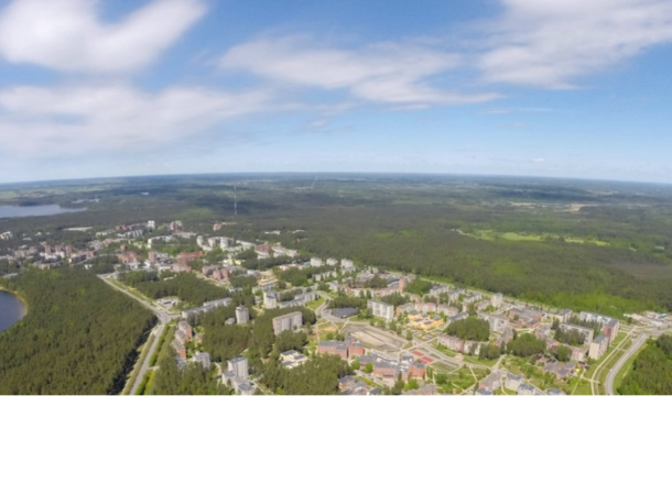 Sveikatos priežiūros specialistų rengimas/pritraukimas dirbti Visagino savivaldybės sveikatos įstaigose.
